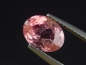 Preview: Tourmaline pink 1,36 Ct. oval Brazil