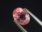 Preview: Tourmaline pink 1,36 Ct. oval Brazil