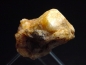 Preview: Phenakite crystal 27 mm - Manapa, Antsirabe, Madag.