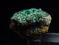 Preview: Atacamite specimen 34 mm - Mina la Favola, Copiapo, Chile