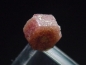 Preview: Bixbite / red Beryl crystal 5 mm - Topaz mtn., Utah, USA
