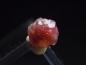 Preview: Bixbite / red Beryl crystal 5 mm - Topaz mtn., Utah, USA