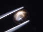 Preview: Star Sapphire 1,27 Ct. black golden cabochon