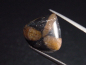 Preview: Chiastolith 11,83 Ct. Tropfen Cabochon Australien