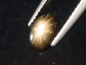 Preview: 12 Ray Star Sapphire 1,17 Ct. bright star - very rare