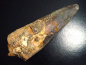 Preview: Spinosaurus tooth - 12,7 cm - Spinosaur Dinosaur