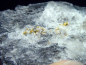 Preview: Gold crystalline in Quartz / Gold specimen 61 mm Brusson, Val d'Aosta, Italy