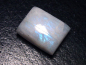 Preview: Rainbow moonstone 13,59 Ct. cabochon