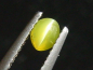 Preview: Chrysoberyl cat's eye 0,31 Ct. cabochon