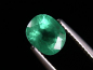 Preview: Emerald 1,58 Ct. fine green oval