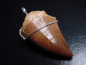 Preview: Mosasaur tooth pendant 925 silver - 5,0 cm - Mosasaurus Dinosaur