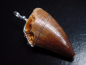 Preview: Mosasaur tooth pendant 925 silver - 5,0 cm - Mosasaurus Dinosaur