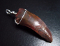 Preview: Carcharodontosaurus tooth pendant 925 silver - 5,5 cm - Carcharodontosaur Dinosaur