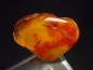 Preview: Amber specimen polished 30 mm Poland