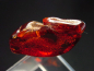 Preview: Amber specimen polished 35 mm Poland