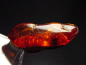 Preview: Amber specimen polished 37 mm Poland