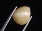 Preview: Danburite cat's eye 6,37 Ct. yellow - Morogoro, Tanzania