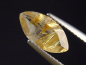 Preview: Rutile Quartz 1,59 Ct. faceted Brazil