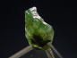 Preview: Zoisite / green Tanzanite crystal 12 mm - Merelani, Tanzania