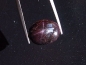 Preview: Star Garnet 18,13 Ct. four ray star cabochon India