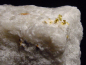 Preview: Gold crystalline in Quartz specimen 33 mm - Brusson, Val d'Aosta, Italy