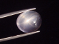 Preview: Sternrosenquarz / Stern Rosenquarz 12,47 Ct. Oval Cabochon