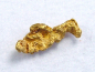 Preview: Gold nugget 9,5 mm - Harrioja, Lappia, Finland