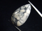 Preview: Magnesite 19,79 Ct. cabochon cut - Hohentauern, Austria