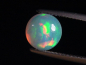 Preview: Opal 1,57 Ct. finest quality - round cabochon