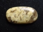 Preview: Serpentinit 39,60 Ct. Oval Cabochon