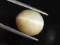 Preview: Quartz Catseye 14,40 Ct. oval cabochon Brazil