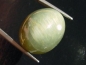 Preview: Prasiolite Catseye / green Quartz 39,00 Ct. oval cabochon