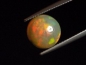 Preview: Opal 3,36 Ct. fine colorplay round cabochon