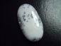 Preview: Dendritenopal 68,33 Ct. Oval Cabochon Indien