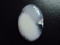 Preview: Dendritic Opal 43,80 Ct. oval cabochon India