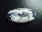 Preview: Dendritic Opal 58,15 Ct. oval cabochon India