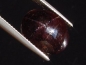 Preview: Star Garnet 15,42 Ct. four ray star cabochon India