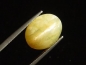 Preview: Opal cat's eye 7,67 Ct. oval cabochon Brazil