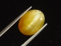 Preview: Opal cat's eye 8,68 Ct. oval cabochon Brazil