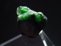 Preview: Tsavorite Garnet specimen 23 mm - Tsavo, Kenya