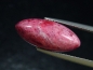 Preview: Thulit 8,72 Ct. Navette Cabochon - Lom, Norwegen