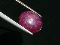 Star Ruby - 7,69 Ct. - 6 ray star - India oval cabochon