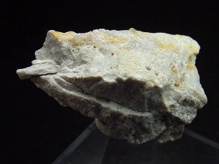 Phenakit Stufe 41 mm - Wheeler Peak Mine, Nevada, USA