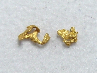 Gold nugget pair 3,5 and 2,5 mm - Kaareoja, Lappia, Finland