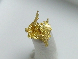 Gold kristallin 5 mm Brusson, Val d'Aosta, Italien