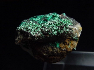 Atacamite specimen 34 mm - Mina la Favola, Copiapo, Chile