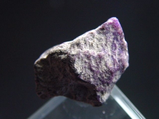 Sugilite specimen 17 mm - Wessels mine, Kuruman, Southafrica