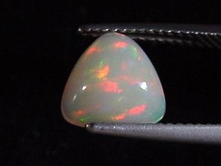 Opal 1,66 Ct. fine colorplay - trillion cabochon