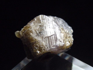 Axinite / Magnesioaxinite crystal 15 mm - Merelani, Tanzania