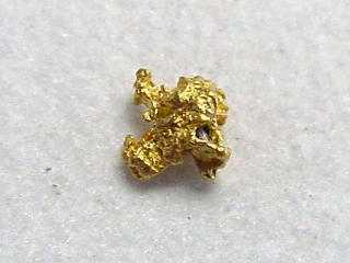 Gold nugget 3,5 mm - Kaareoja, Lappia, Finland